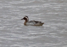 Gargany-Greenan-Loch-23-April-2014