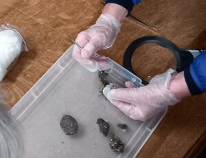 tiny fragments of bone need careful handling