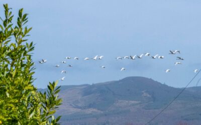 View March 2026 sightings