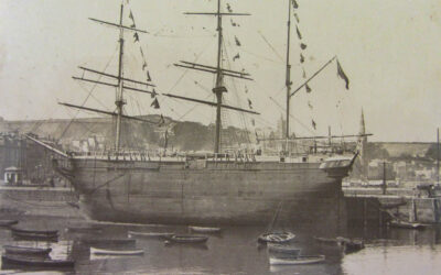 Convict Ship Success