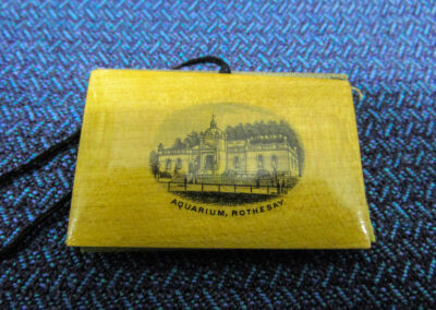 Mauchline Ware Needle Case