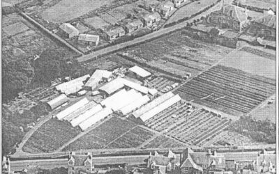 Lister’s Nursery