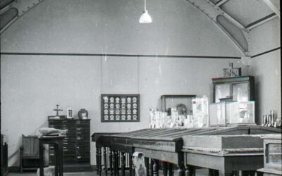 Bute Museum