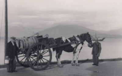 Soor Dook Cart