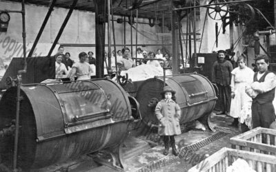 Bute Steam Laundry