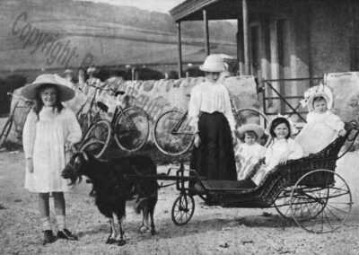 Goat Carriage at Ettrick Bay