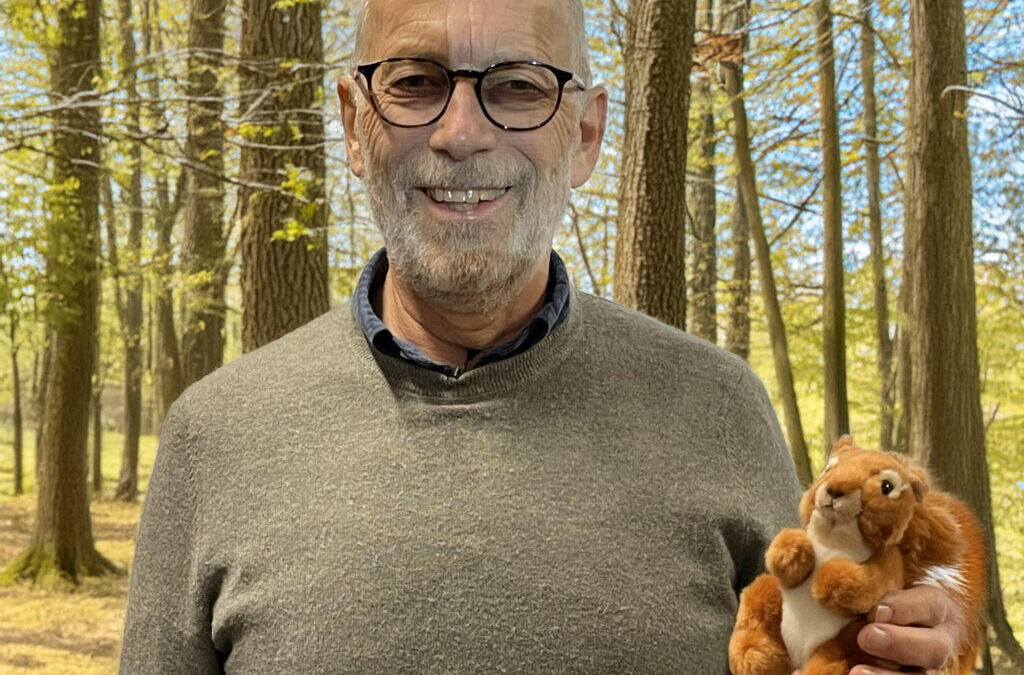 Getting DNA from Bute’s red squirrels